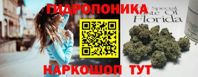 прущие грибы Белореченск