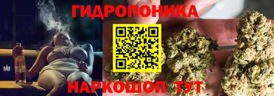 прущие грибы Белореченск