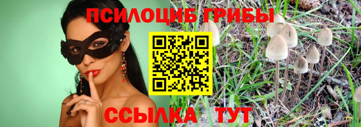 Галлюциногенные грибы Cubensis Грязи